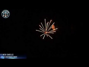 Raccoon Fireworks 1.3G JY5 0044 5 inch Shell Gold Coconut Tree