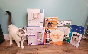 6 Best Cat Doors, Portals, Flaps and Electronic Doors - Cats.com