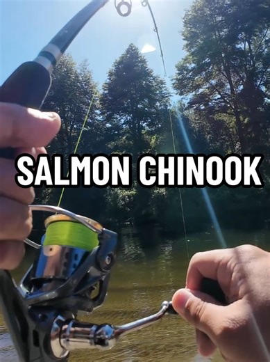 Pesca de Salmón Chinook en Chiloé