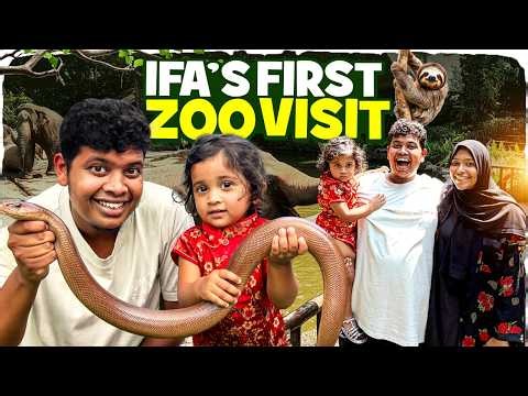 Ifa பாம்ப Kaila Pudichita 😱 - Irfan’s View