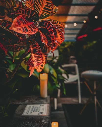 Reserve your Sound Bath Journey pass now at indianhotsprings.com, grab your bathing suit and join us! | Indian Hot Springs Resort & Spa