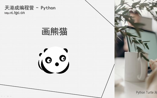 Python 体验课（1） - Panda 画熊猫