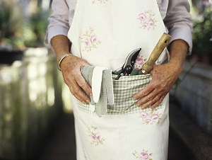 How to Fertilize Ligustrum