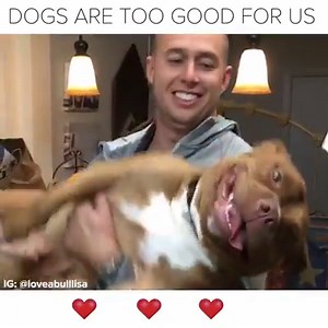 838K views · 1K reactions | Dogs are our best friend. | Pet Ninja | Facebook
