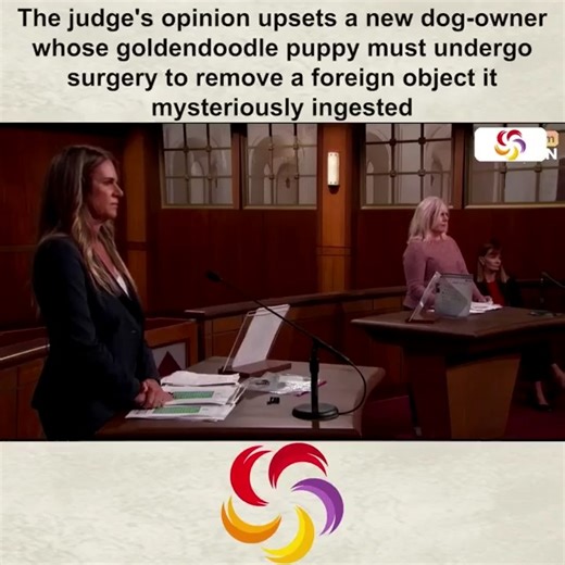 Dog Owner Left Speechless After Unexpected Verdict 🐕 | Queen Omega