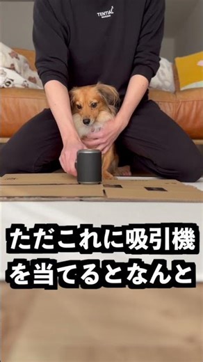 威力が強すぎる吸引機で超重い飴を吸えば持てるはず！
