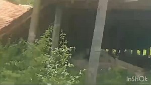 *Property id 3775* *1.5 acre farm land for sale in Ramanagara* 8 km...