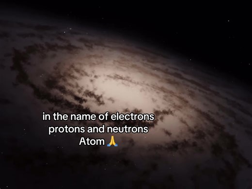 Are Humans Considered Animals? Exploring Existence