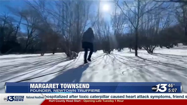 Meet Luca, the truffle hunting dog! Luca works on the Scottsville truffle farm that has had record breaking success. You can find out more about the farm here: https://bit.ly/3u2LQGw | WBKO News