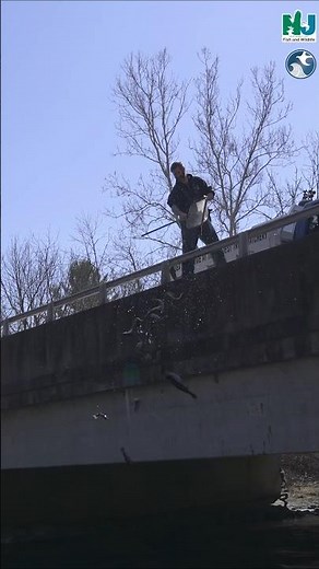 Spring Trout Stocking Begins