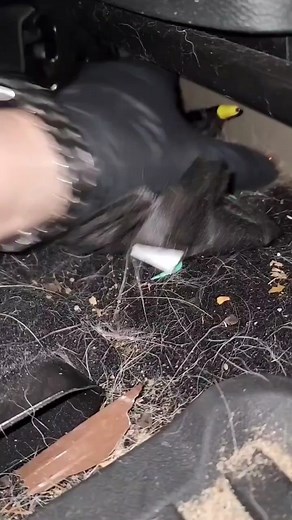 6.3K views | Filthy Honda Interior Cleaning! | Classic American Cars | Facebook