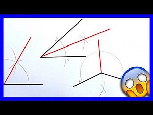 bisector 2025