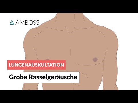 Grobe Rasselgeräusche -- Lungenauskultation -- Folge 3 -- AMBOSS Video