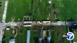 Chicago urban farm collective provides network for food security, social justice