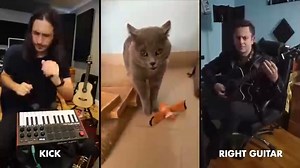 Cat singing funny remix song - Please Go Away | Love Cats