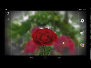3D Rose Live Wallpaper Free