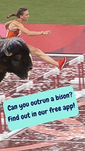 Do math like an animal with our free word problems! It's fun for the whole family - learn more at this link: https://bedtimemath.org/bedtime-math-app/ | Bedtime Math