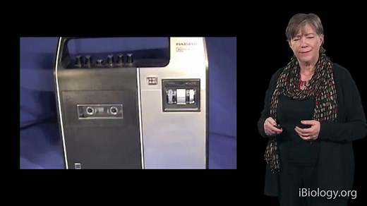 Protein Folding and Disease • iBiology