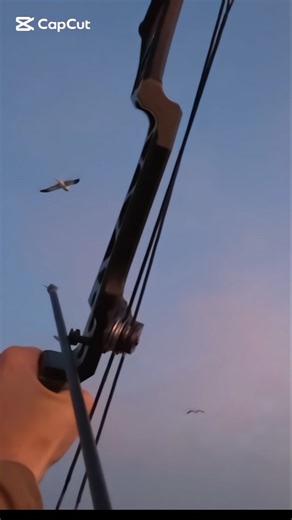 Hunting birds with bow and arrow shot#archery#ducks#hunting #challenge#waterfall#birds