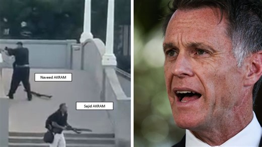 New gun and protest laws for NSW pass in overnight vote