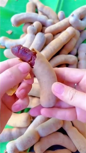 Manual peeling process of tamarind