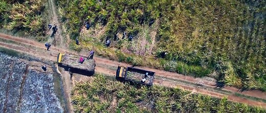 Pabrik Gula (2025) - Part01