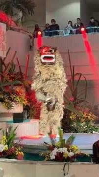創作芸団レキオスの獅子舞🔥
