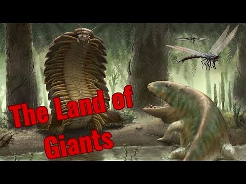 Mass Extinctions | Romer's Gap and the Rainforest Collapse | The Carboniferous Period