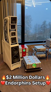 565K views · 1K reactions | $2 Million Dollars Pure Endorphins System ❤️ Wilson Audio  Dan DAgostino Amplifiers ⚙️ Thorens Reference Turntable ☀️ #audiophile #hiend #hifi #audio #home #system #speakers #highend #setup #luxury #stereo #turntable #sound | Audiophile HighEnd Audio | Facebook