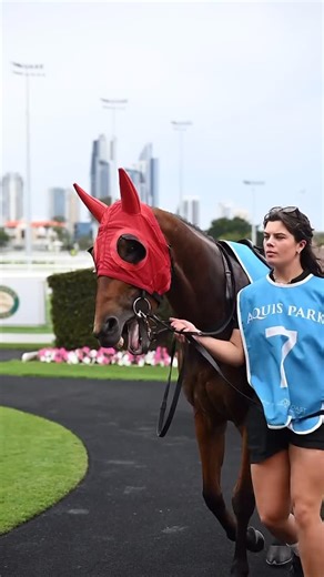 Gollan Racing on Instagram: "💥 STABLE SONG REQUEST 💥 - ‘American Pie’ by Don McLean is this week’s song request from Georgie Heath, one of our wonderful Eagle Farm stablehands on loan from England. - Mixed with a bit of Georgie in the stables and strapping at the trials & races."