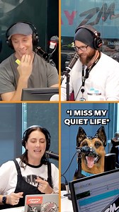 Someone give Herman a treat and a paw massage, he’s still adjusting to studio life 😮‍💨 | ZM's Fletch, Vaughan & Hayley