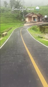 The Poetry of Rain: A Visual & Auditory Experience