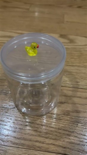 Ducks singing “Someone like you” #ducks #funny #someonelikeyou #cute