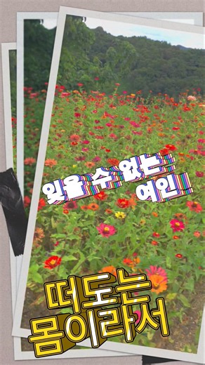 'The Unforgettable Woman' Kim Jun-gyu #OldiesButGoodies #7080Memories