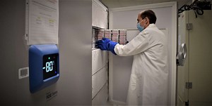 Genetic Perturbation Screening: Gene knockdown and overexpression assistance for researchers » Genetic Perturbation Screening »  The Herbert Wertheim UF Scripps Institute for Biomedical Innovation & Technology » The Wertheim UF Scripps Institute » University of Florida