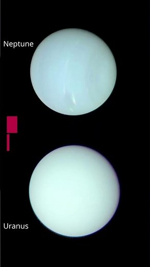 'No filter' Neptune shows its true colours