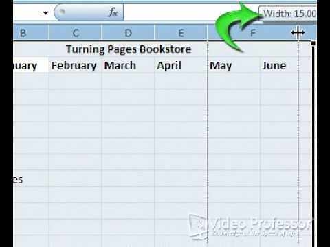 Formatting Your Spreadsheet in Excel® 2007