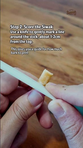 Siwak series (Part 1) - How To Prep the Siwak #sunnah #Miswak #SunnahRevival #siwak #islam