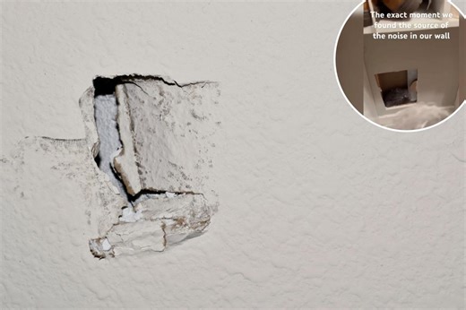 I heard strange noises behind a wall in my home — I was shocked to see what was the source