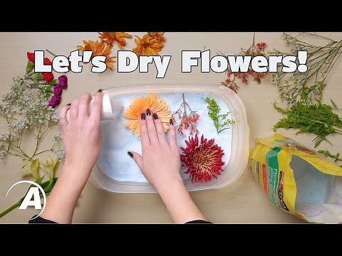 Drying Flowers for Resin Projects | Alumilite