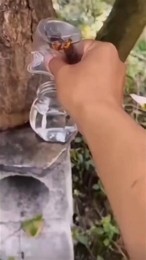 Mascot Logos That Actually Look Good 🔥 Character Illustration Reveal