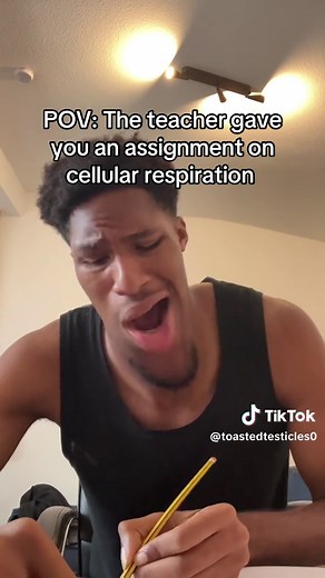 Understanding Mitochondria in Cellular Respiration