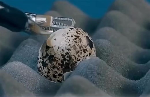 115K views · 463 reactions | That is correct, in this video Surgeons...