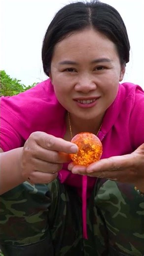 Large pearls in freshwater pearl clams
