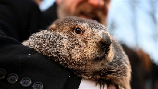 Early spring or six more weeks? Groundhog Day forecasts clash