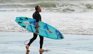 Shark Deterrent Tech Says It's the Only Proven Solution That Works 60% of the Time | The Inertia