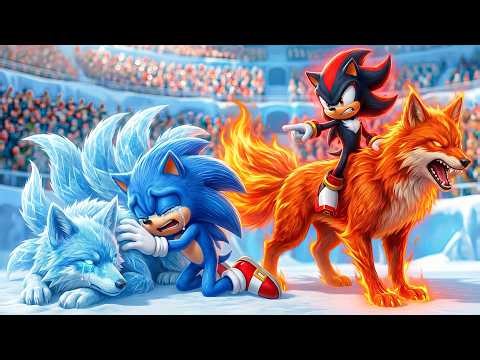 🐺 Sonic wins the Magic Wolf Racing Championship – The ultimate racing challenge.