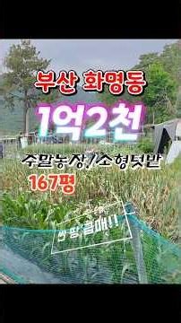 Cheap Land in Hwamyeong-dong, Busan: 167-pyeong Weekend Farm at 720k KRW per Pyeong!! Small Garde...