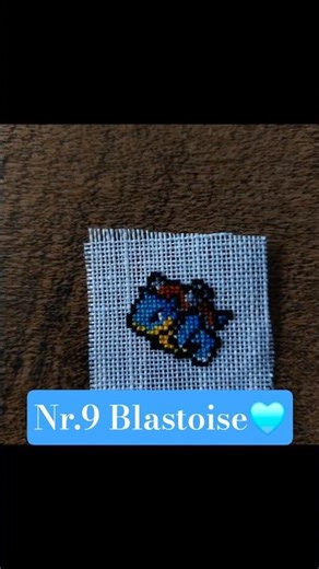 Pokédex Nr.9 Blastoise💧I love how it turned out. 🪡✨#pokemon #crossstitch #handmade #cute #fy