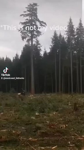 #westcoast #logging